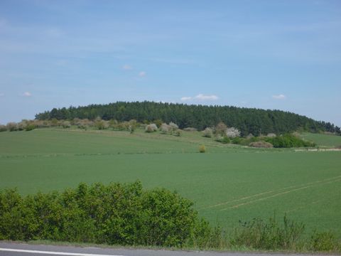 Foto 43